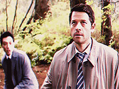 �͵ȼ����VS�ߵȼ����