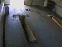 û��һ��������Ҳû��һ˿����