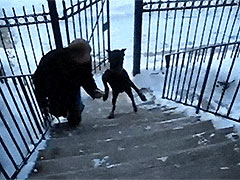 ���Ķ�����������¥����