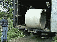 ����ܷ�������ʵ�ܹǸ�