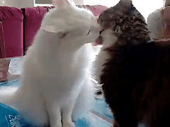 ���޾���һ˲��