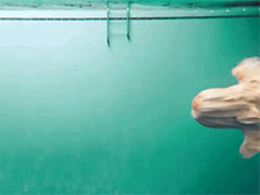 ��������Ȯˮ����Ӿ