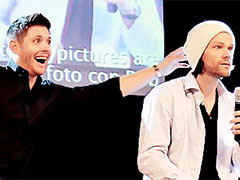 ʵ���������