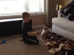 �ܺ���̫���ˣ���ŭֵ���ڱ�����