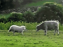 ��������һ����