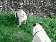 ��ô�����ñ���������