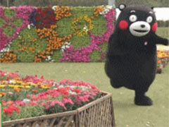 ֪������ˣ���ƣ���������