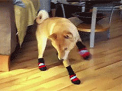 �������˴���Ь�ӾͲ�����·��