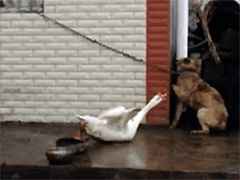 ���߿����߿��������ң�