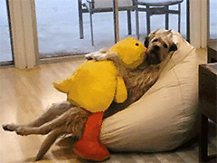 ��������Ѽ����ô������