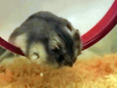 ��ô���£������ģ�����˭��