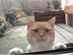 �������ҽ�ȥ��~