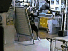 ���Ƕ�����·��