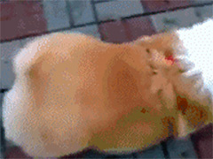 һ���Ͳ���������