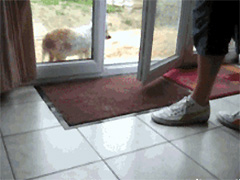 ���ɾ���������~