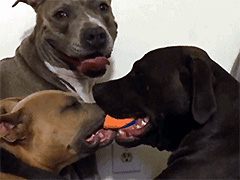 ˭���ɿ�˭���ǹ���