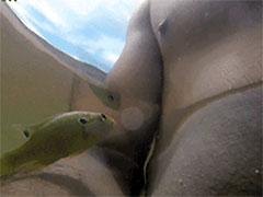 һ���Ͳ���ʲô������