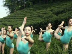 ��ƪ��Ҷ��Ư��