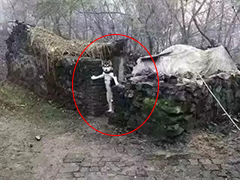 ��Ҷ���� �����������ˡ���