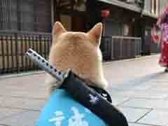 ����ű����̽�������