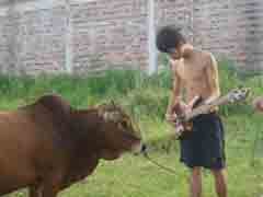 ���� ˭������ô�������