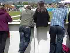 ����һ�Ź������Ƭ