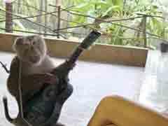 ��ʵ�����Ů��Ұ�ޣ���