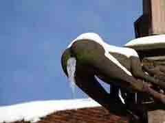 ��ѩ�µ� ̫��������