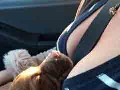 �Ҹ�������Ը�ⳤ˯����