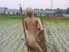 ������� ���ɶ�۶���