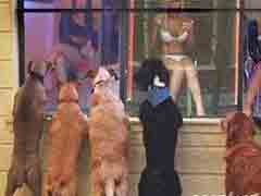 ���ţ���Ȼ��������ô��ɫ