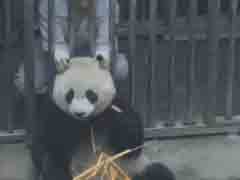 ���ᣡ�˼ҳԶ�����