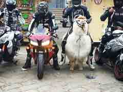 ��� ��������Ц����