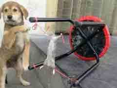 ������������һ�������