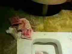 �񻹲���������һ������