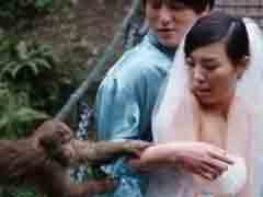 ����ߣ�����������