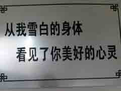 �ܸо����������ֵֹ�