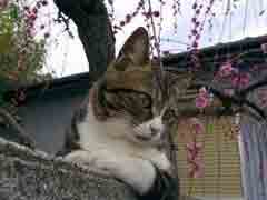 ע�⣡������������