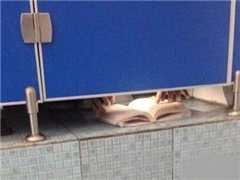 �سɴ����������廪���Ǳ���