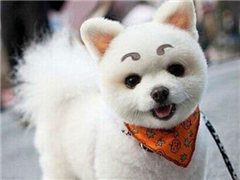 ������COSѽ