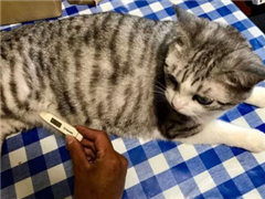 �������Ǿ����������