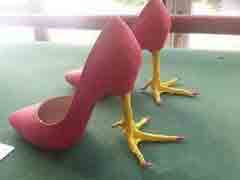 ��ô�ŵ�Ь�� ���˸Ҵ���