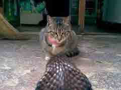 ˼��������Ҫ��������