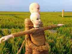 ���˰�̩̹��˺�