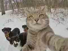 ������Ȧ����������