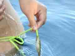 ����ͷ ���㶼��ô��ɫ